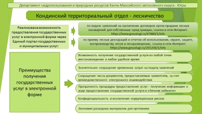 Электронные услуги лесничества